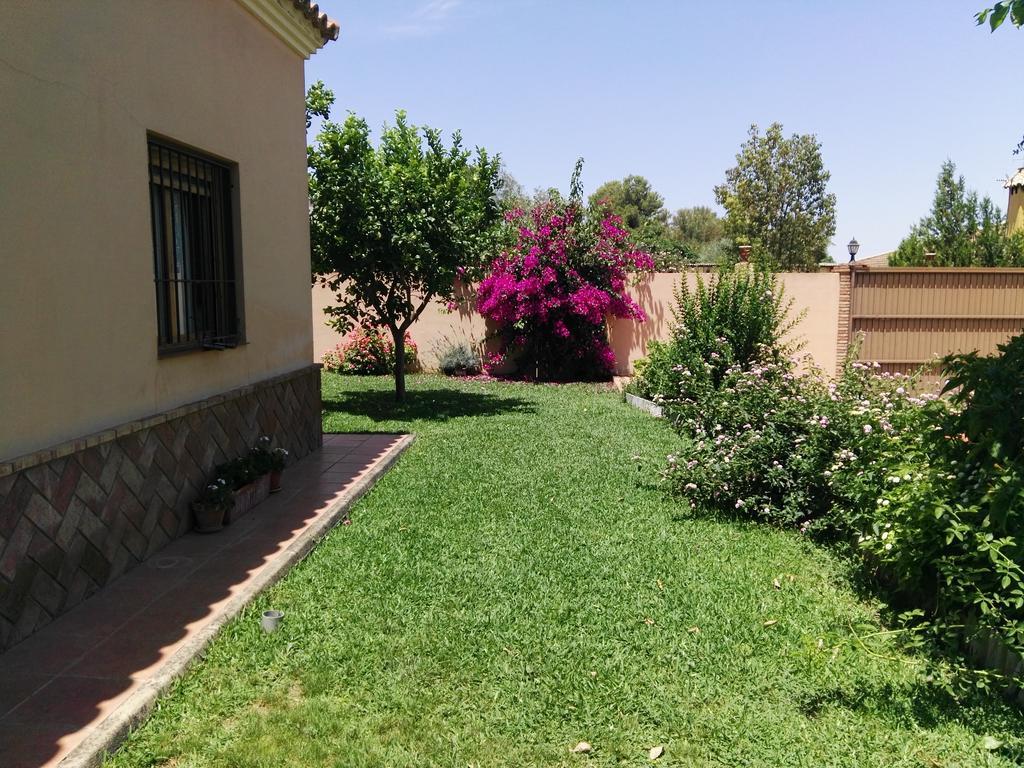 Casa Rural Oregano Carmona  Exterior foto